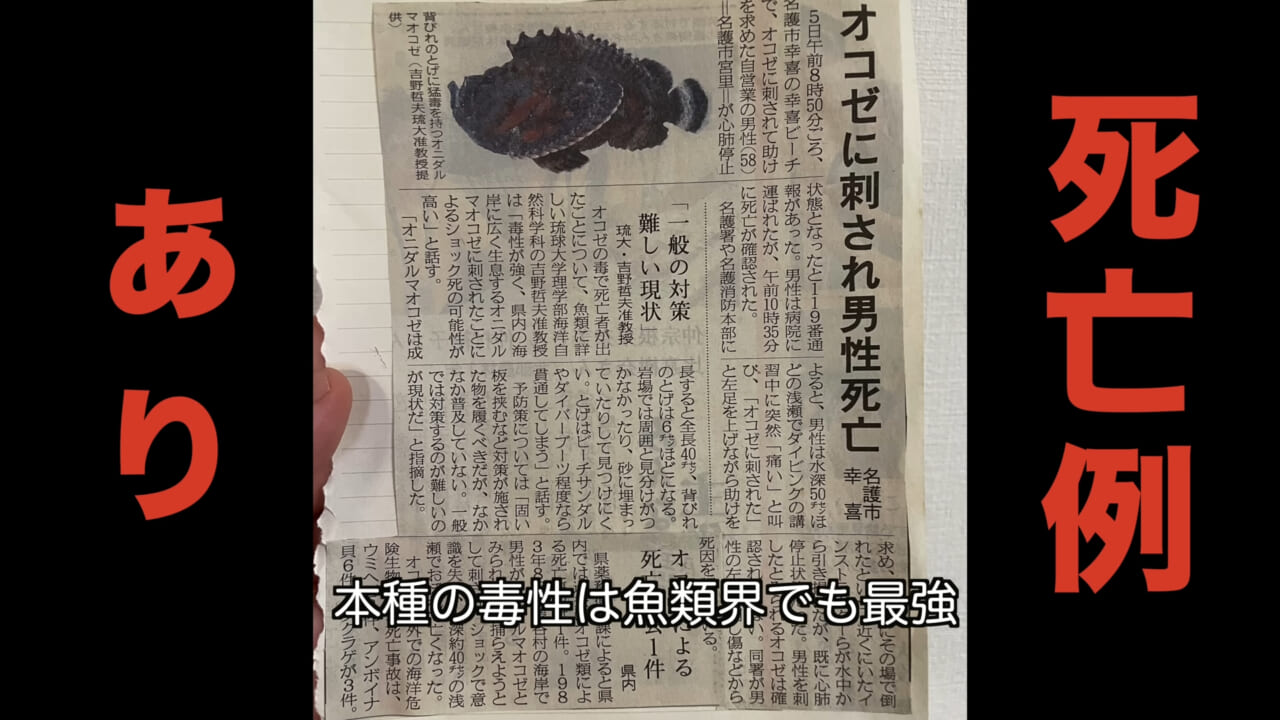 ｜死亡例もある世界最強の『毒魚』に刺されてみた結果→「トンカチで骨を殴られたみたい」身体を張って毒の威力を大検証。「絶対にマネしないで」