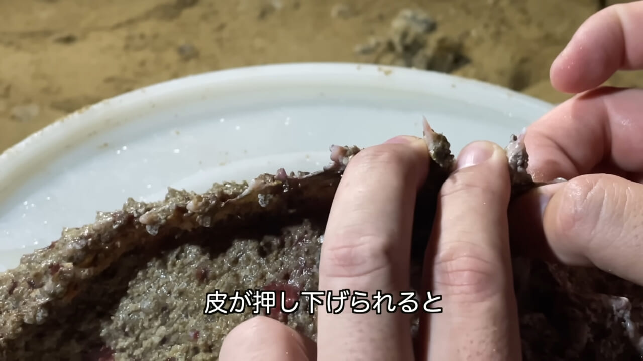 ｜死亡例もある世界最強の『毒魚』に刺されてみた結果→「トンカチで骨を殴られたみたい」身体を張って毒の威力を大検証。「絶対にマネしないで」