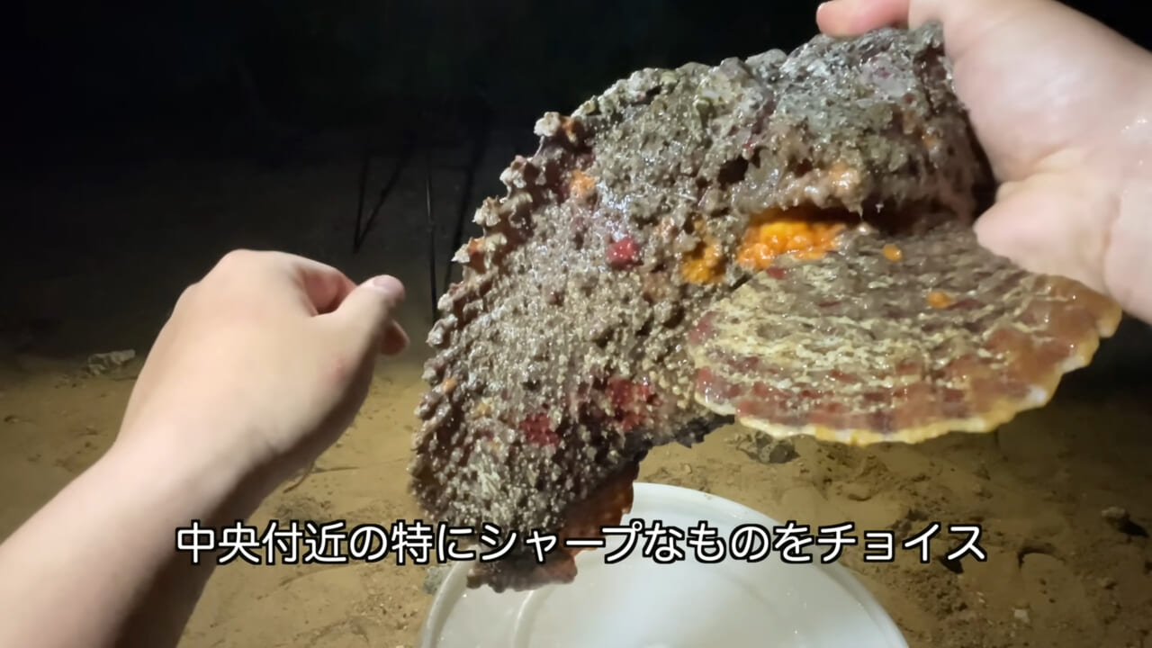 ｜死亡例もある世界最強の『毒魚』に刺されてみた結果→「トンカチで骨を殴られたみたい」身体を張って毒の威力を大検証。「絶対にマネしないで」