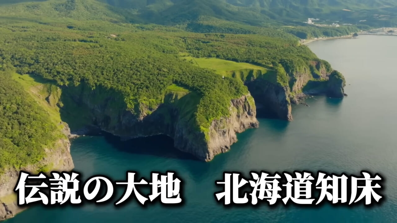 |ユーチューバーが捕獲した『ヤバい魚』。「うわっ、でっか」「ゴジラやん」200万回再生された捕獲劇がスゴイ。