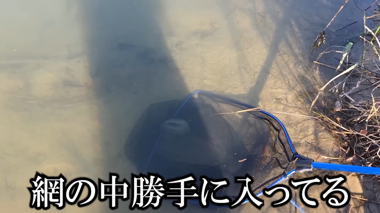 ｜「魚が10分で瀕死に」「生き物がいない」ガサガサ中に発見した『川の排水』を環境局に通報した結果。「基準値が…」