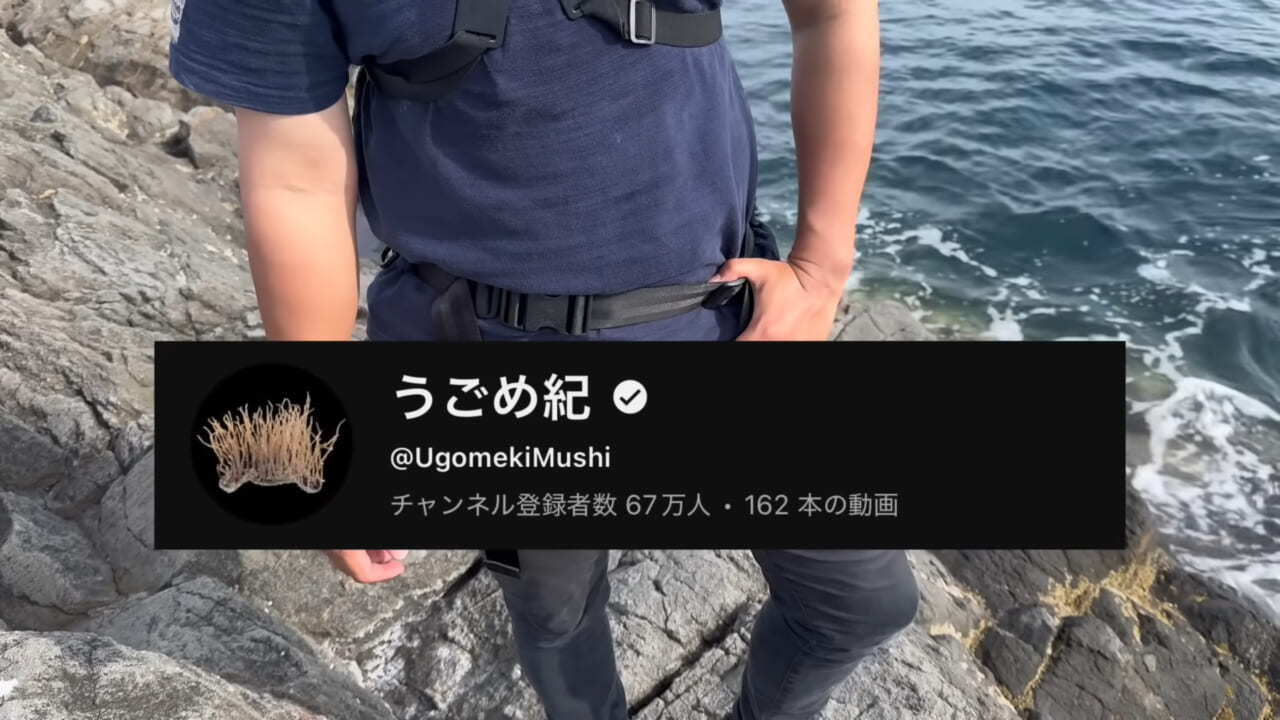 |ユーチューバーが捕獲した『ヤバい魚』。「うわっ、でっか」「ゴジラやん」200万回再生された捕獲劇がスゴイ。