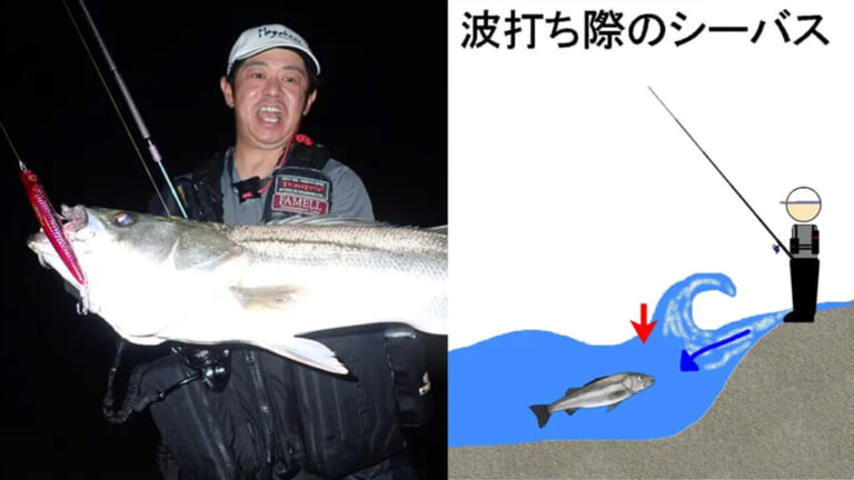 狙いは「波打ち際」！サーフでシーバスを狙うコツを徹底解説!!