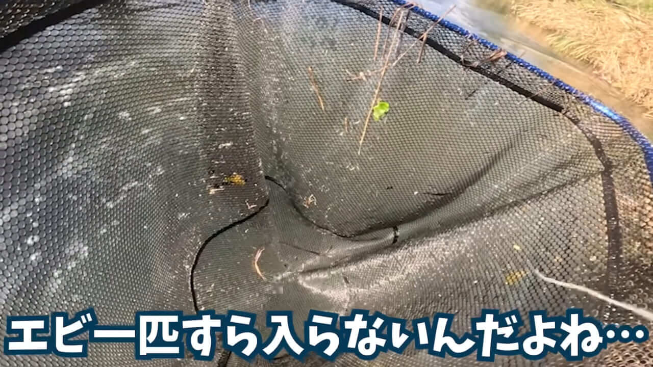 ｜「魚が10分で瀕死に」「生き物がいない」ガサガサ中に発見した『川の排水』を環境局に通報した結果。「基準値が…」