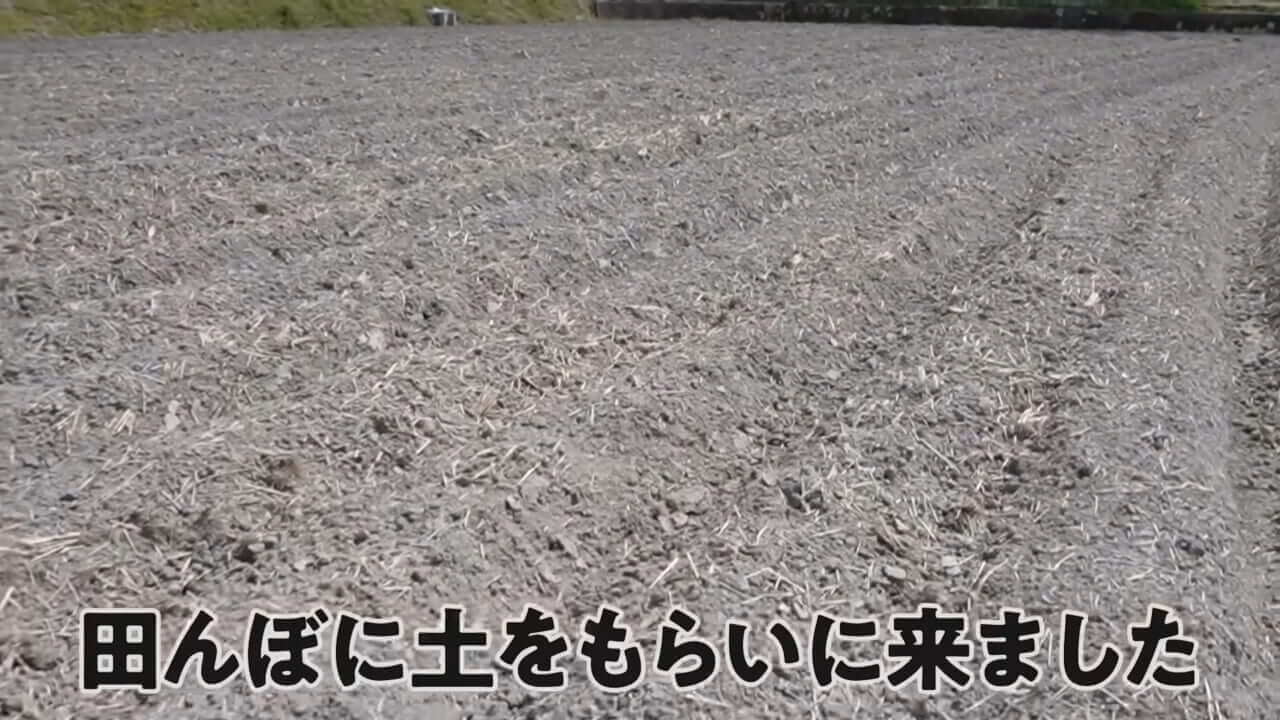 ｜「大きさ、全然違うやん」金魚を『田んぼ』で育てた結果。“700万回”以上再生された実験動画がスゴすぎる。