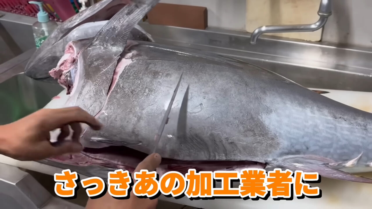 ｜ユーチューバーが捕獲した『ヤバい魚』。「うわっ、でっか」「ゴジラやん」200万回再生された捕獲劇がスゴイ。