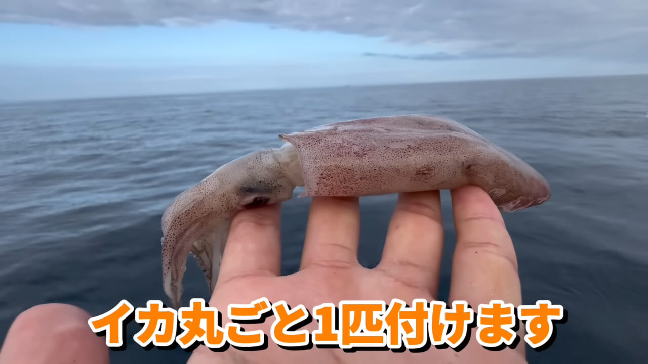 ｜ユーチューバーが捕獲した『ヤバい魚』。「うわっ、でっか」「ゴジラやん」200万回再生された捕獲劇がスゴイ。