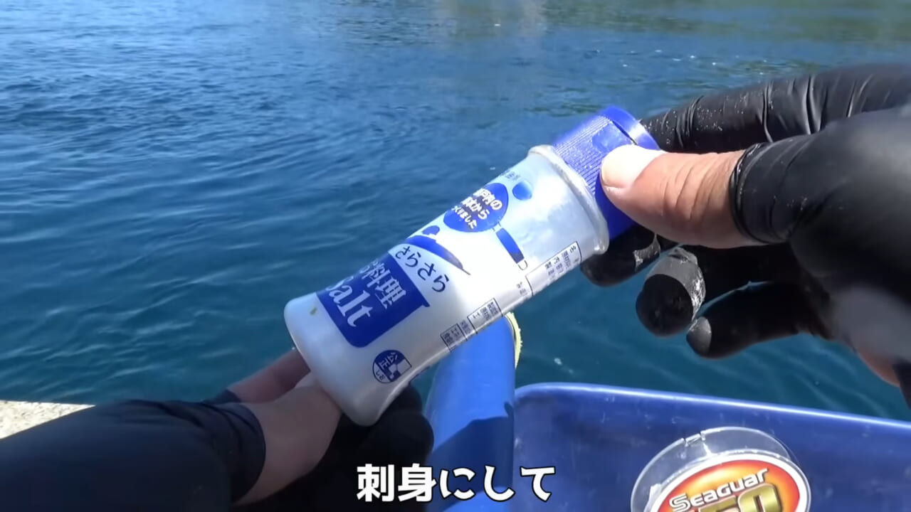 ｜「ヤバっ、初めて見た」「遭遇するのは一生に一度」海で遭遇した『異生物』を捕獲。魚でも貝でもない生物の正体がスゴイ。「生態も解明されていません」