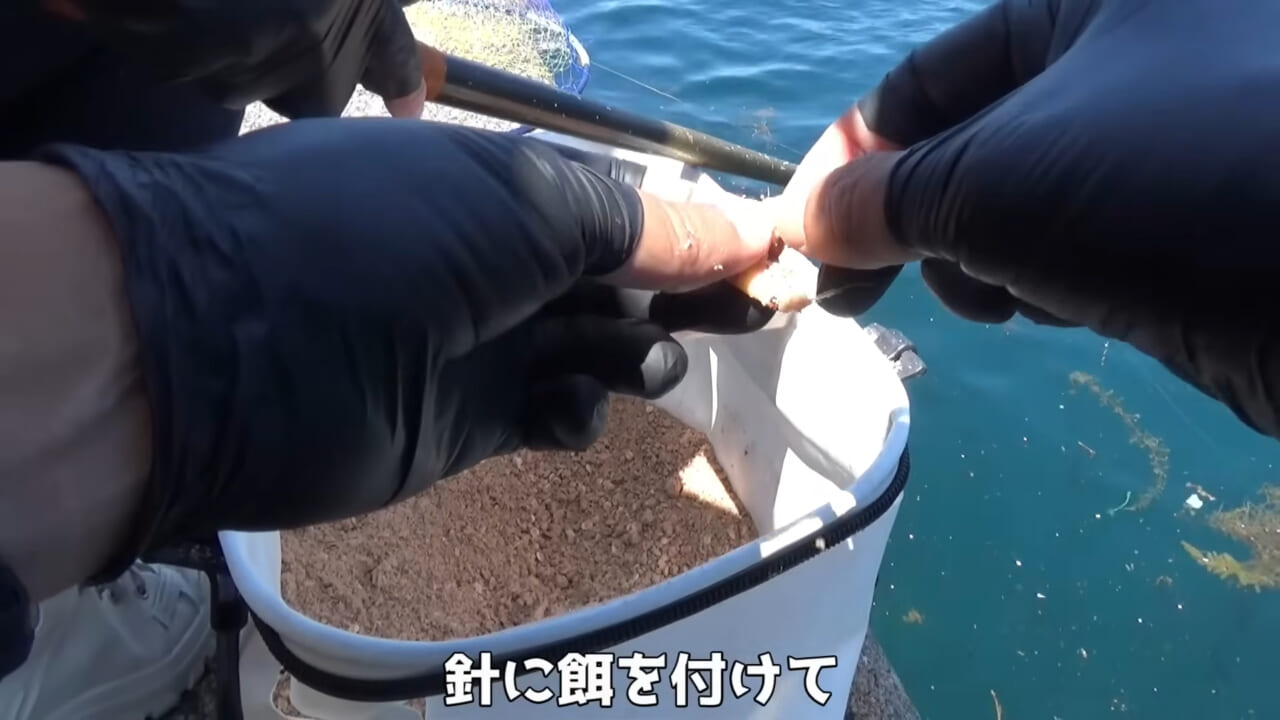 |「ヤバっ、初めて見た」「遭遇するのは一生に一度」海で遭遇した『異生物』を捕獲。魚でも貝でもない生物の正体がスゴイ。「生態も解明されていません」