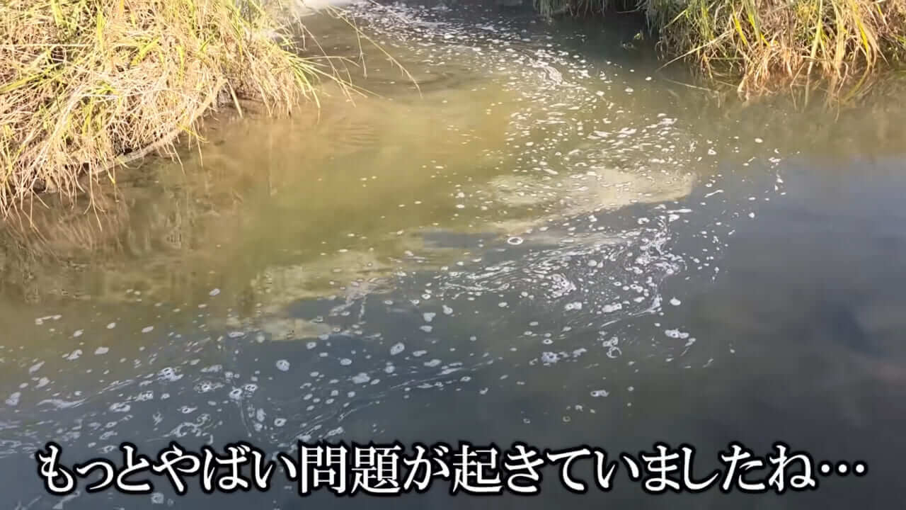｜「魚が10分で瀕死に」「生き物がいない」ガサガサ中に発見した『川の排水』を環境局に通報した結果。「基準値が…」