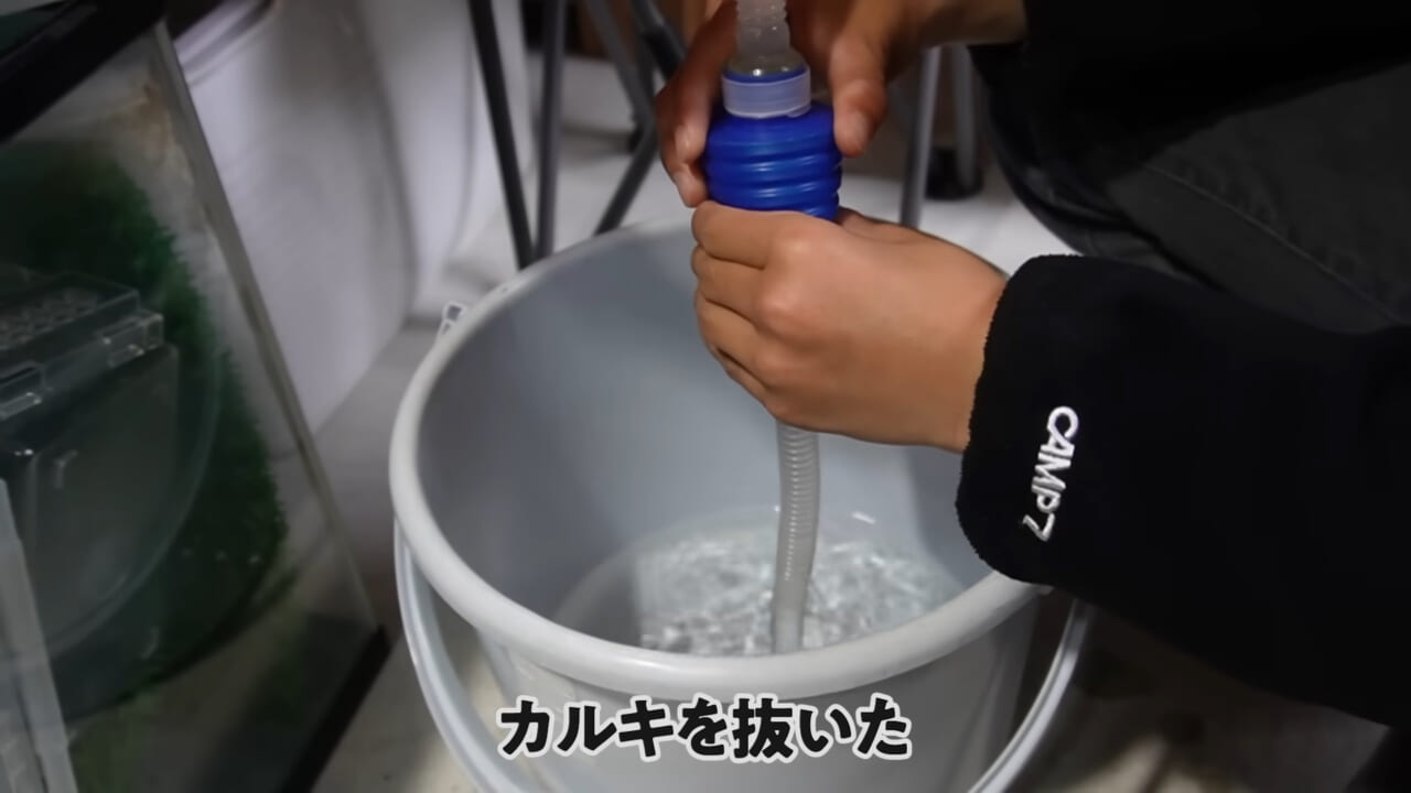 ｜「大きさ、全然違うやん」金魚を『田んぼ』で育てた結果。“700万回”以上再生された実験動画がスゴすぎる。