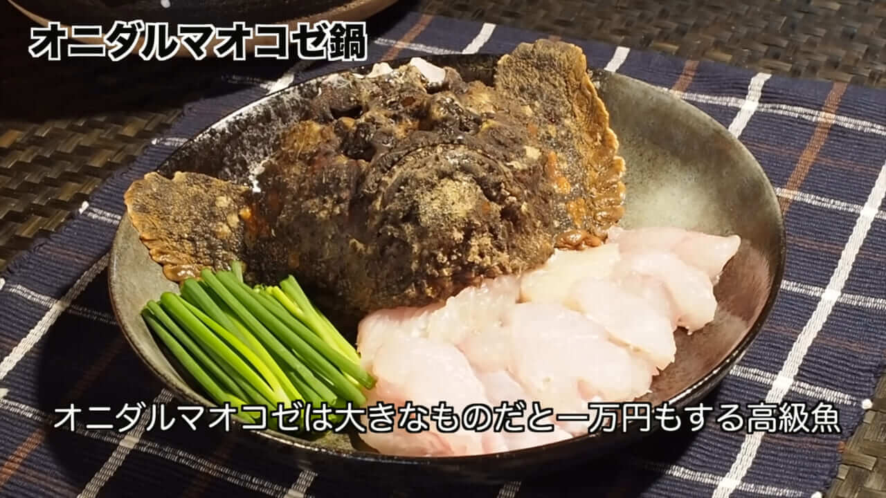 ｜死亡例もある世界最強の『毒魚』に刺されてみた結果→「トンカチで骨を殴られたみたい」身体を張って毒の威力を大検証。「絶対にマネしないで」