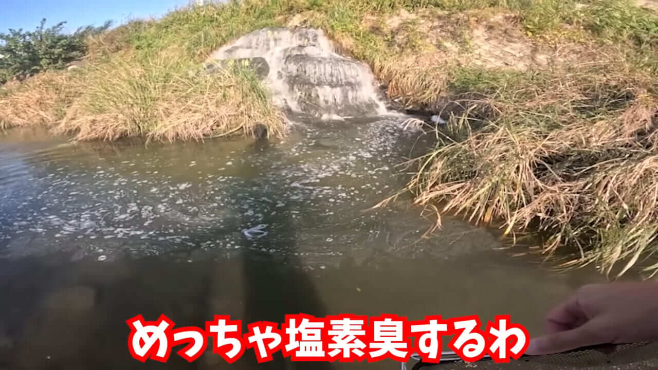 ｜「魚が10分で瀕死に」「生き物がいない」ガサガサ中に発見した『川の排水』を環境局に通報した結果。「基準値が…」