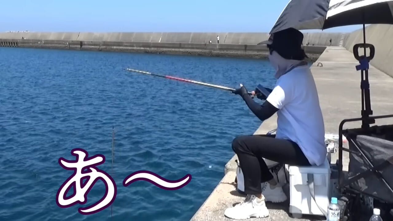｜「ヤバっ、初めて見た」「遭遇するのは一生に一度」海で遭遇した『異生物』を捕獲。魚でも貝でもない生物の正体がスゴイ。「生態も解明されていません」