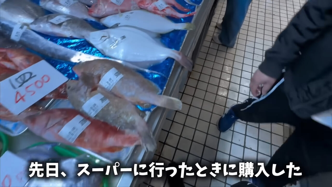 |「驚愕」「ウソみたい」スーパーで買った『サメの卵』を育てた結果がスゴイ。「明らかにヤバそうだったけど…」