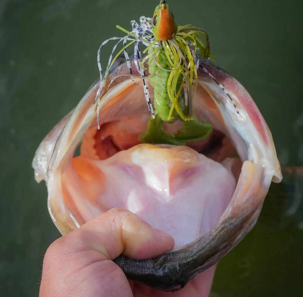 |腕がバタバタでハイアピール!もちろん味と臭いも抜群の新型クローワーム