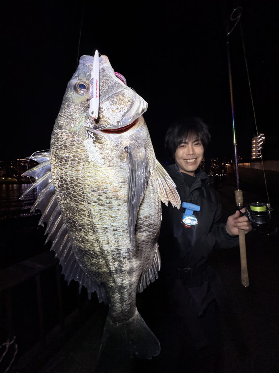 ｜釣れた魚は人間の顔を覚える？ 実は「この人は誰か」を見分けられる魚がいた