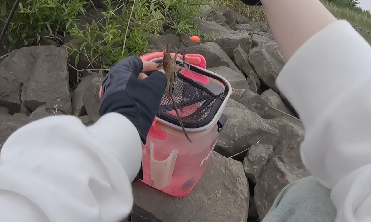 ｜美女が手料理を作りたい。釣った魚で作る料理は絶品だった。