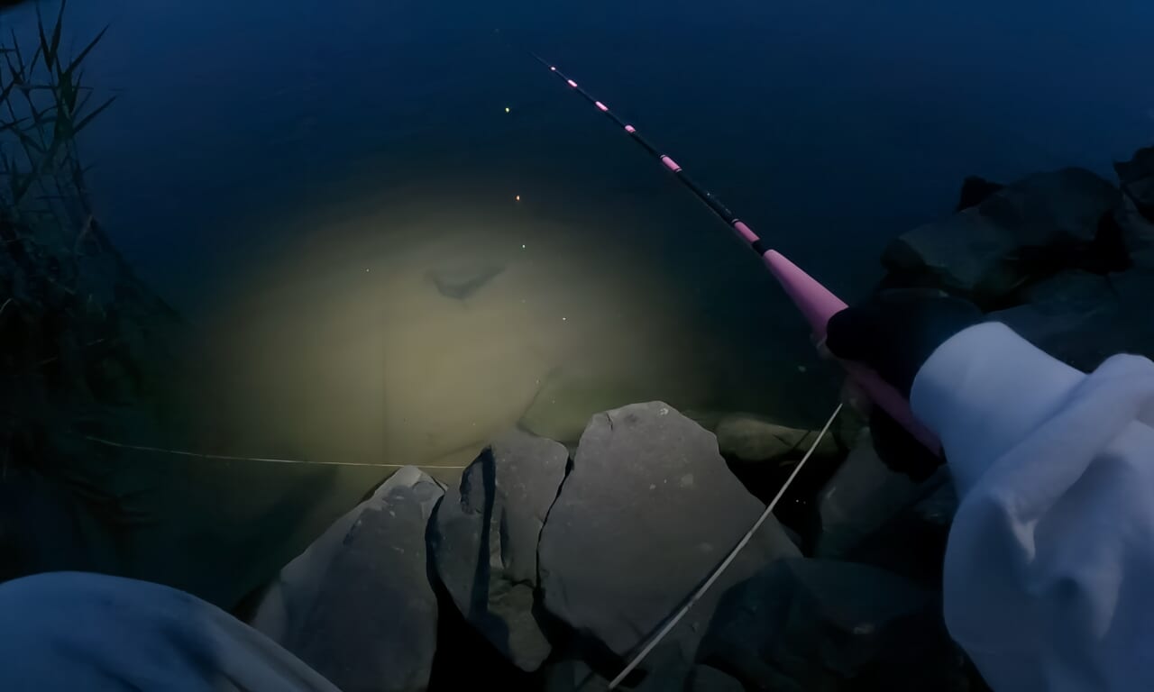 ｜美女が手料理を作りたい。釣った魚で作る料理は絶品だった。