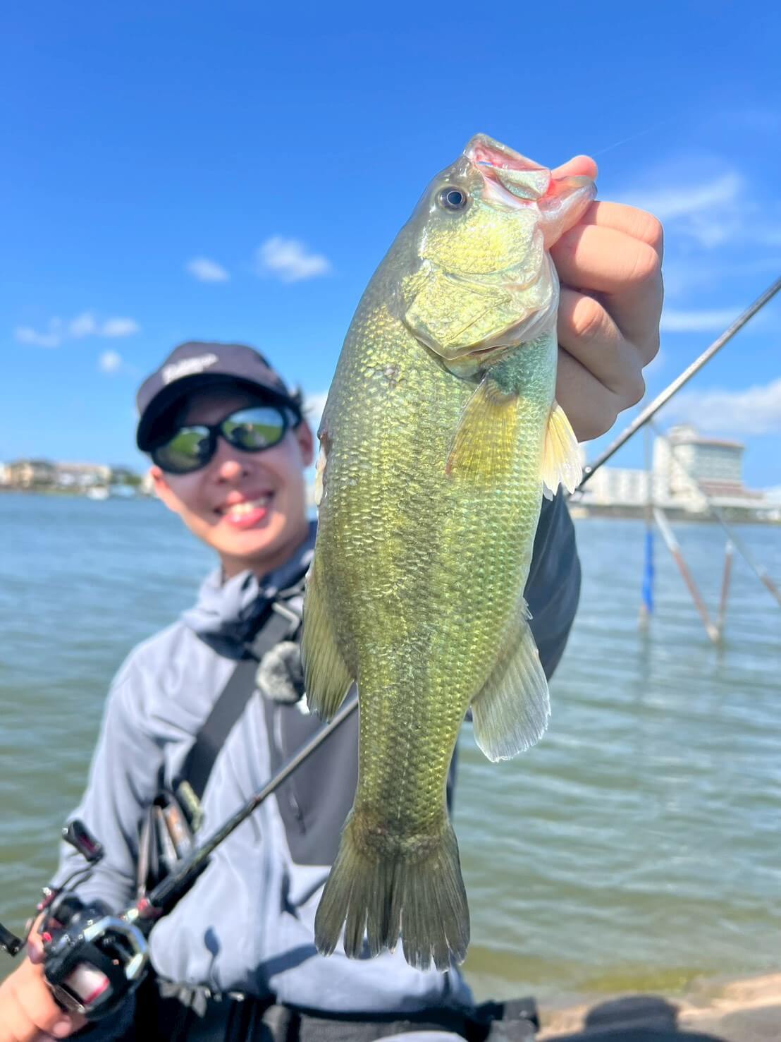 ｜【霞ヶ浦で異変!?】カビの生えた小魚がヒントに…。プロトミノーがハマり45センチ級を連発【鈴木翔のIT’S SHO TIME !!!】