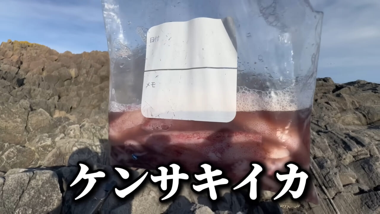 |ユーチューバーが捕獲した『ヤバい魚』。「うわっ、でっか」「ゴジラやん」200万回再生された捕獲劇がスゴイ。