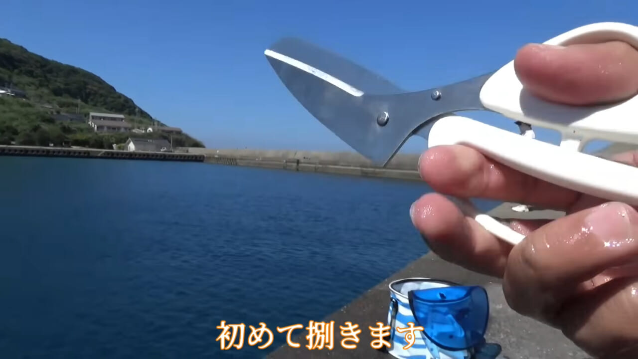|「ヤバっ、初めて見た」「遭遇するのは一生に一度」海で遭遇した『異生物』を捕獲。魚でも貝でもない生物の正体がスゴイ。「生態も解明されていません」