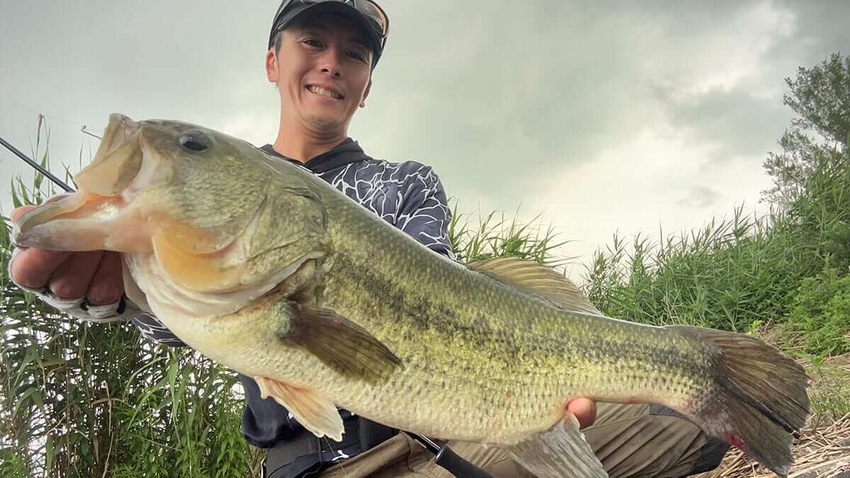 |増水&濁りはチャンス! 久々の霞ヶ浦で良型連発、プロトのメガフォーゼも激ハマり【週刊ササカツ無双】