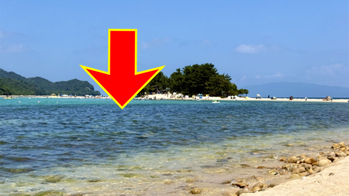 ｜「え、想像以上にやばい」海水は飲むな。←この言葉を甘く考えるととんでもない目に…遭難しても絶対に海水を飲んではいけない理由が怖すぎる。