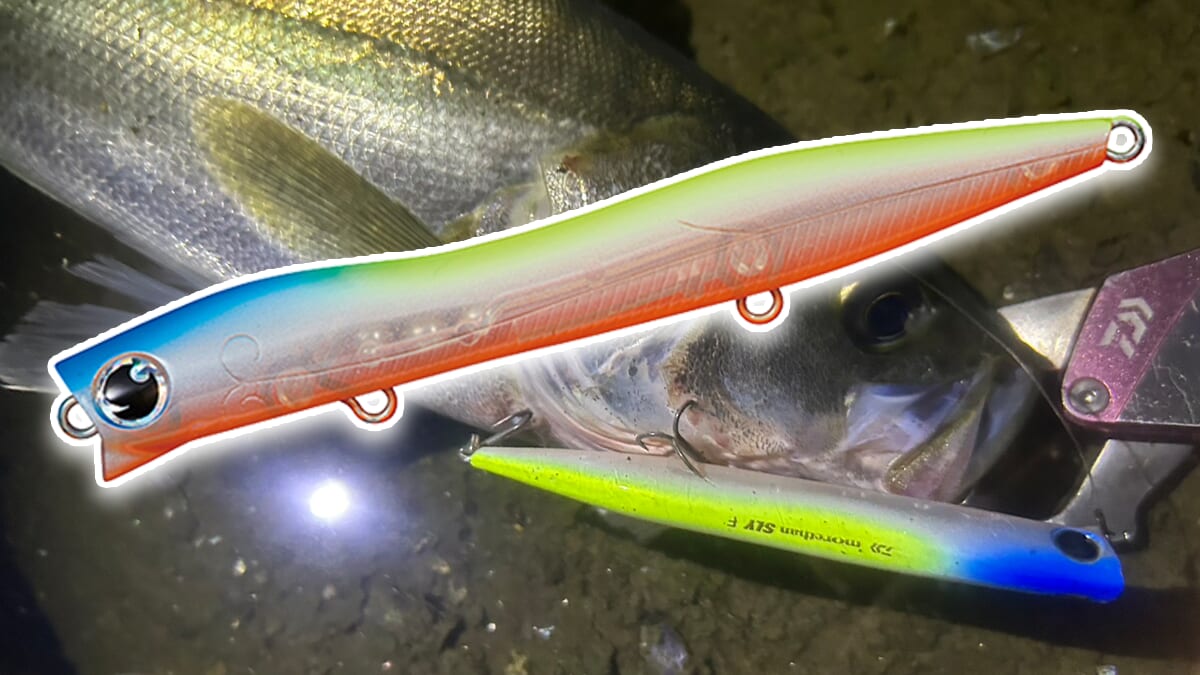 ｜バチ抜けだけじゃない！今の時期に効く『スライ95F』の使い方って？ DAIWAフィールドテスターが徹底解説。