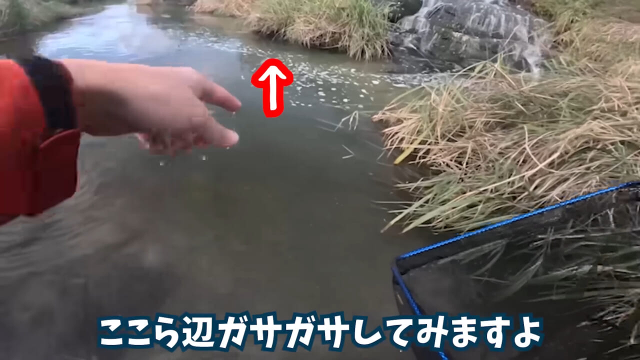 |「魚が10分で瀕死に」「生き物がいない」ガサガサ中に発見した『川の排水』を環境局に通報した結果。「基準値が…」