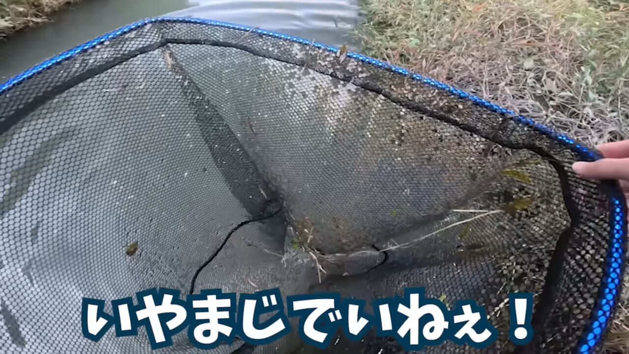 |「魚が10分で瀕死に」「生き物がいない」ガサガサ中に発見した『川の排水』を環境局に通報した結果。「基準値が…」
