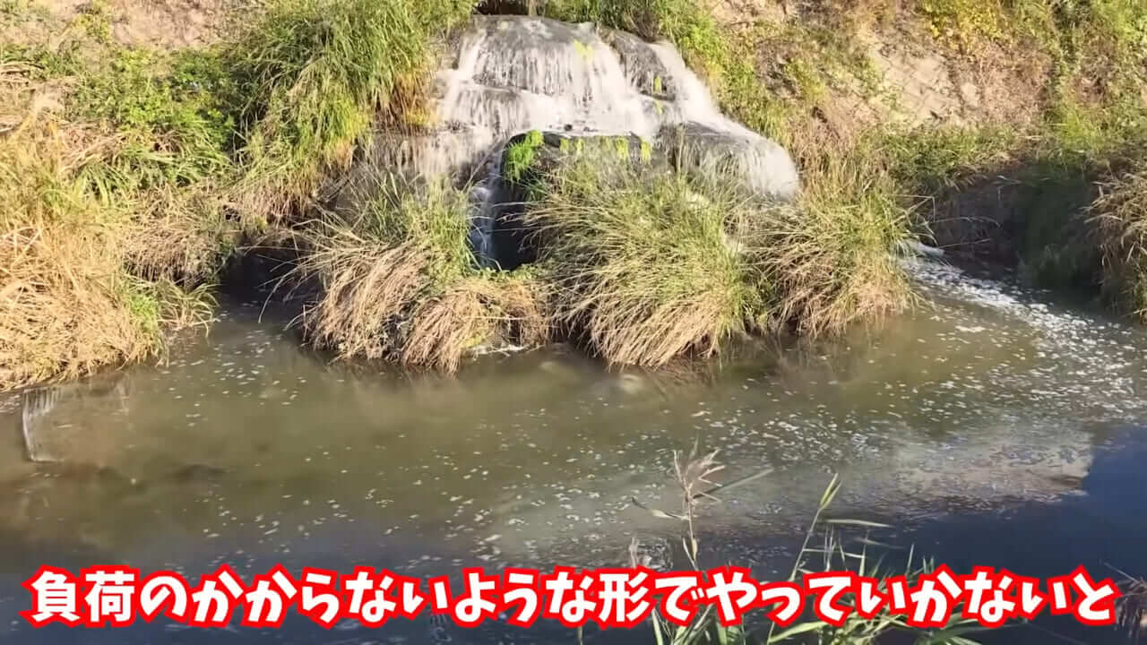 ｜「魚が10分で瀕死に」「生き物がいない」ガサガサ中に発見した『川の排水』を環境局に通報した結果。「基準値が…」