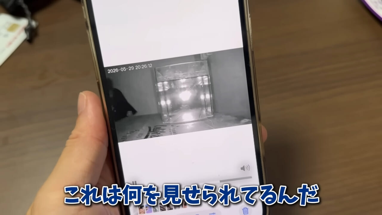 |「驚愕」「ウソみたい」スーパーで買った『サメの卵』を育てた結果がスゴイ。「明らかにヤバそうだったけど…」