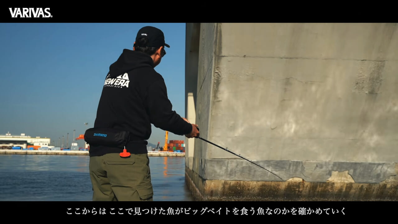 |大阪湾でスイムベイトシーバスゲームは成り立つのか? 開拓者・前田大介が実釣解説。