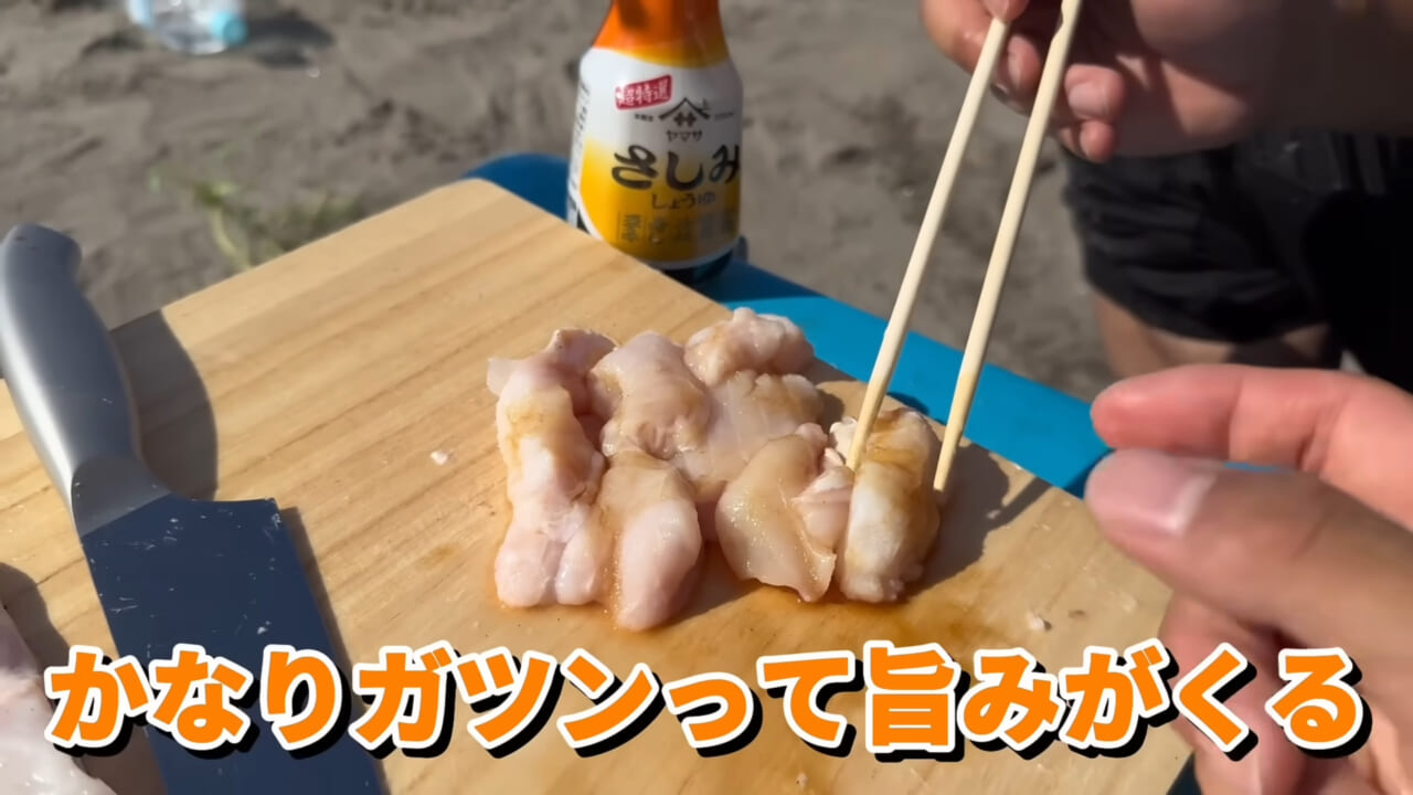 ｜ユーチューバーが捕獲した『ヤバい魚』。「うわっ、でっか」「ゴジラやん」200万回再生された捕獲劇がスゴイ。