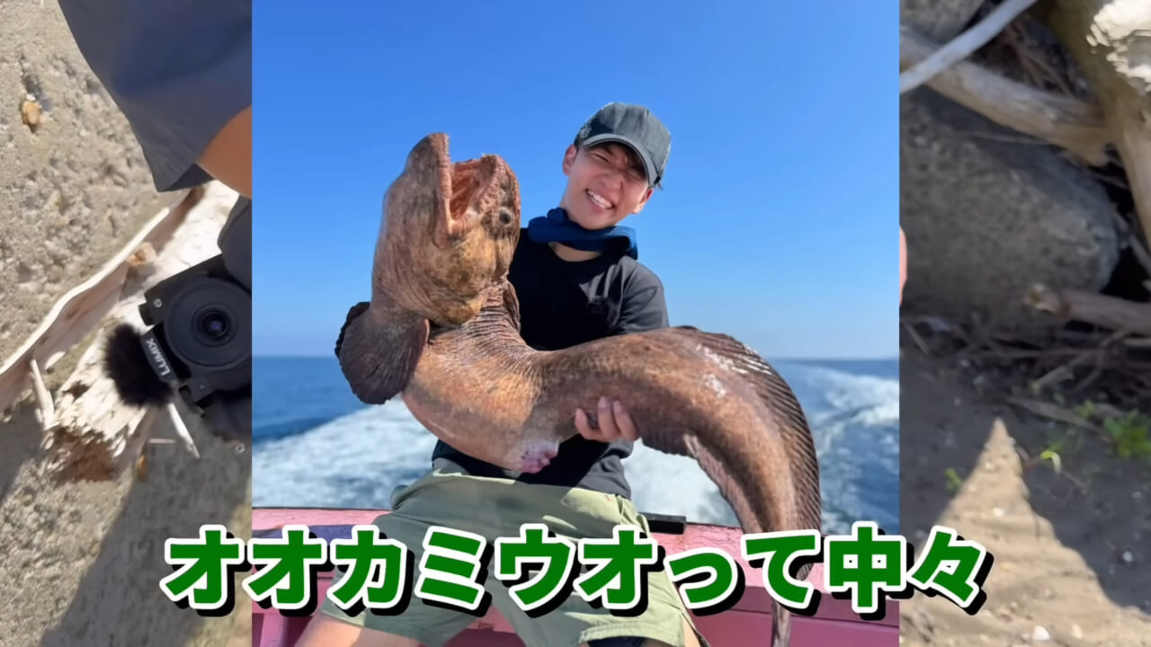 ｜ユーチューバーが捕獲した『ヤバい魚』。「うわっ、でっか」「ゴジラやん」200万回再生された捕獲劇がスゴイ。