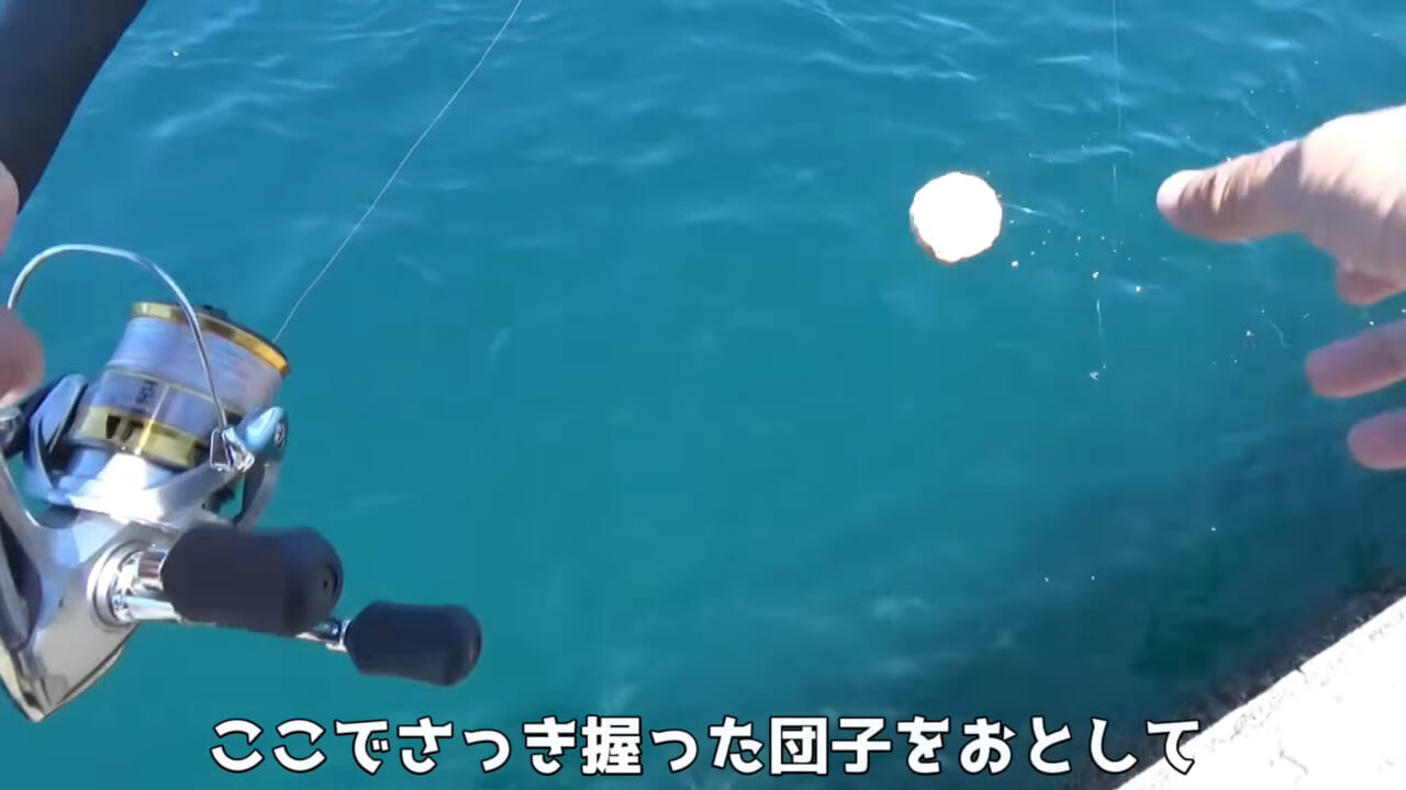 |「ヤバっ、初めて見た」「遭遇するのは一生に一度」海で遭遇した『異生物』を捕獲。魚でも貝でもない生物の正体がスゴイ。「生態も解明されていません」