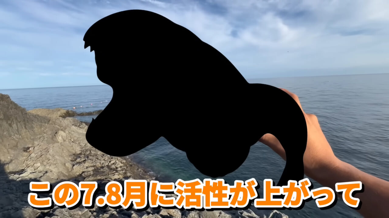 |ユーチューバーが捕獲した『ヤバい魚』。「うわっ、でっか」「ゴジラやん」200万回再生された捕獲劇がスゴイ。