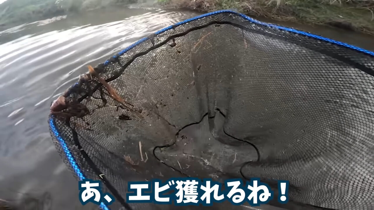 ｜「魚が10分で瀕死に」「生き物がいない」ガサガサ中に発見した『川の排水』を環境局に通報した結果。「基準値が…」