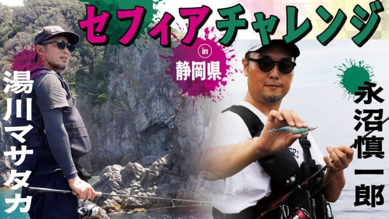 湯川マサタカとタイマン・エギング対決！ 潮が動く“一瞬”を捉えた執念の1杯【セフィアチャレンジin静岡県・伊豆】