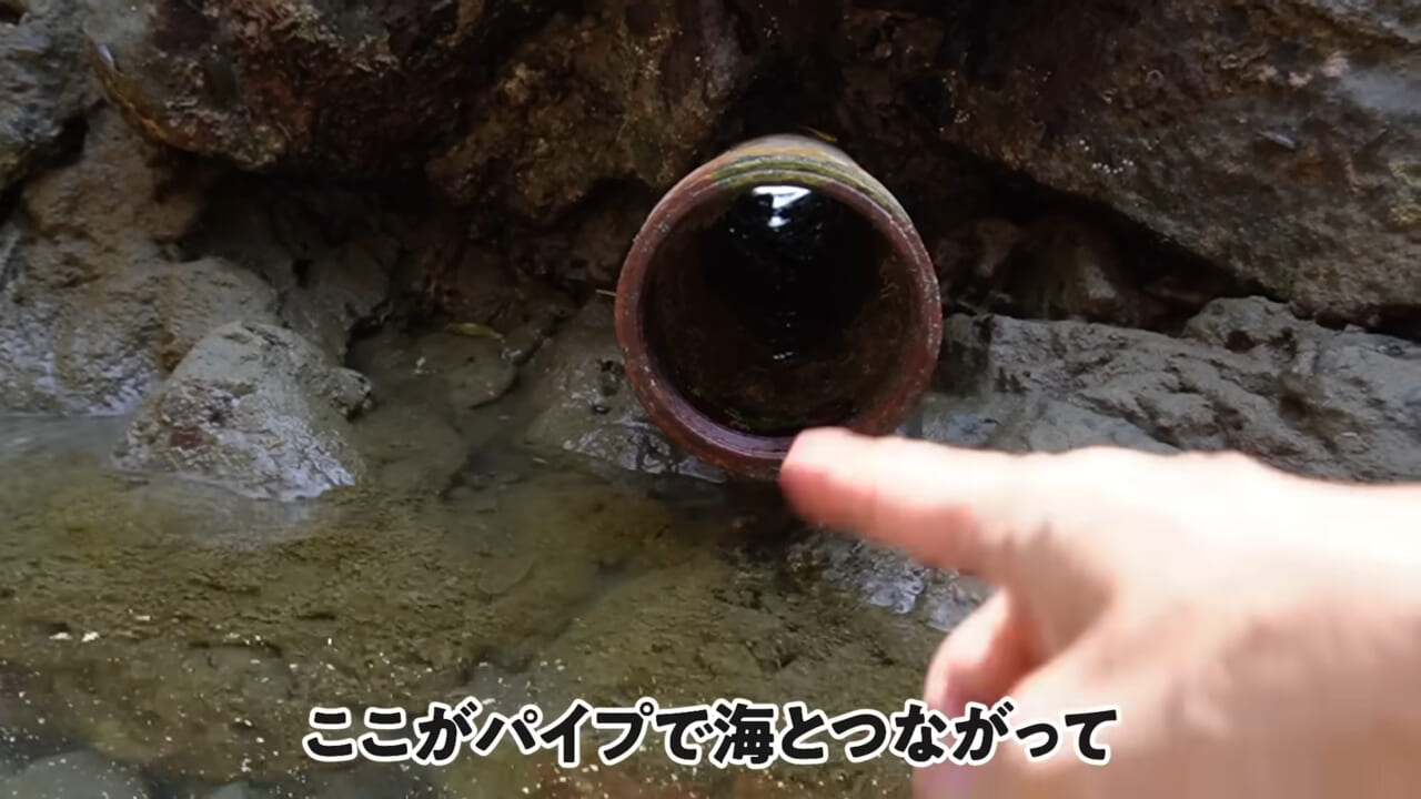 ｜「嚙まれたらエグれる…」「アレの匂い」海のプールに取り残された『モンスター』を捕獲。実際に食べてみた結果。