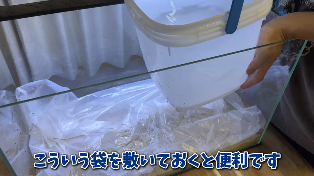 |「まさか本当に」「中でめちゃくちゃ動いてる」スーパーに“1000円”で売っていた『サメの卵』を温めた結果。「家族にします」