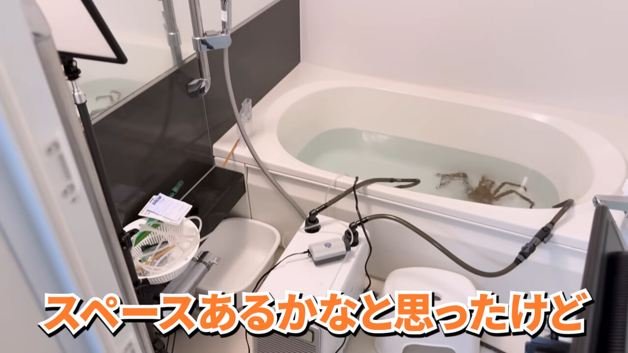 |「マジで育てるのか…」お風呂で『タラバガニ』を飼ったら…。「死んだら食材です」驚きの動画に話題殺到。