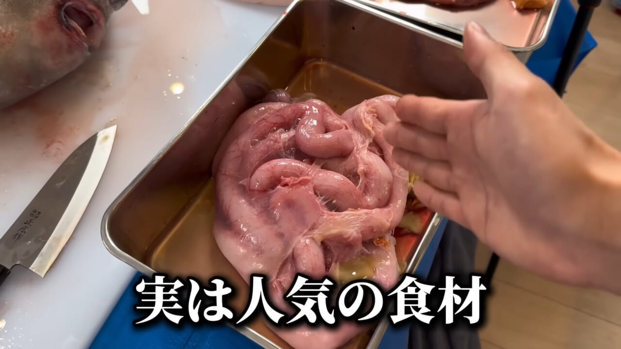 |「脳みそ小さすぎ」「これは脱帽だわ」マンボウをさばいた結果がとんでもなかった。