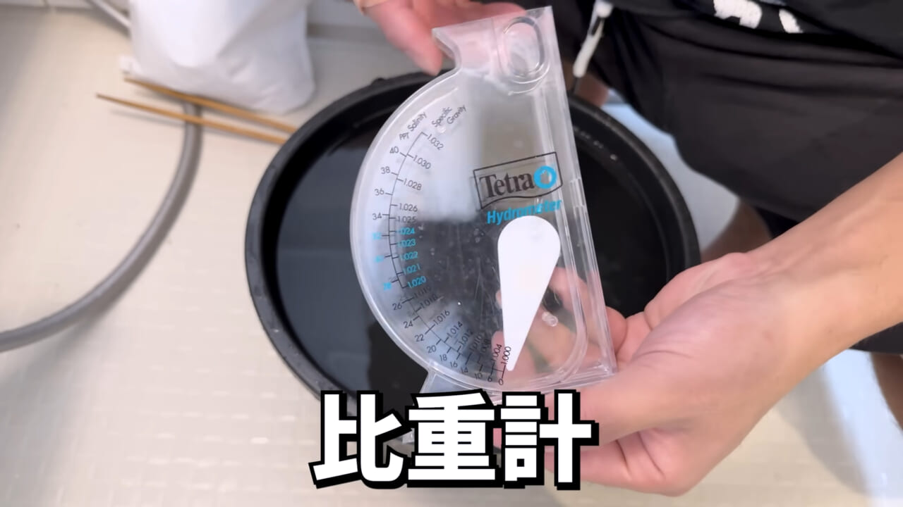|「マジで育てるのか…」お風呂で『タラバガニ』を飼ったら…。「死んだら食材です」驚きの動画に話題殺到。