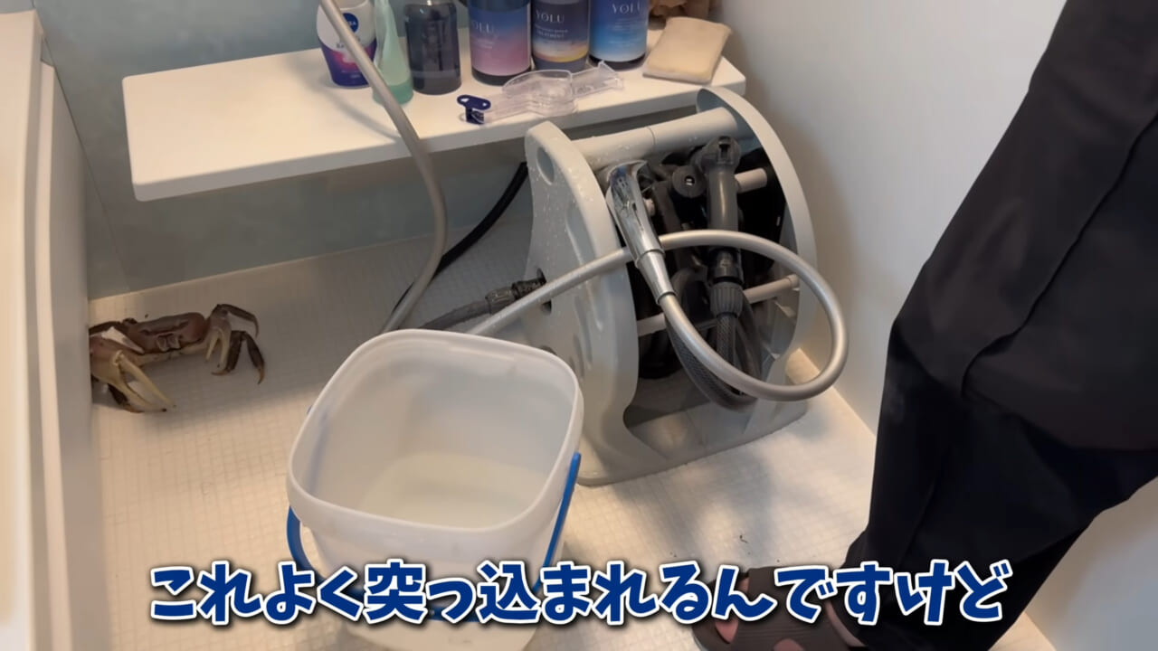 |「まさか本当に」「中でめちゃくちゃ動いてる」スーパーに“1000円”で売っていた『サメの卵』を温めた結果。「家族にします」