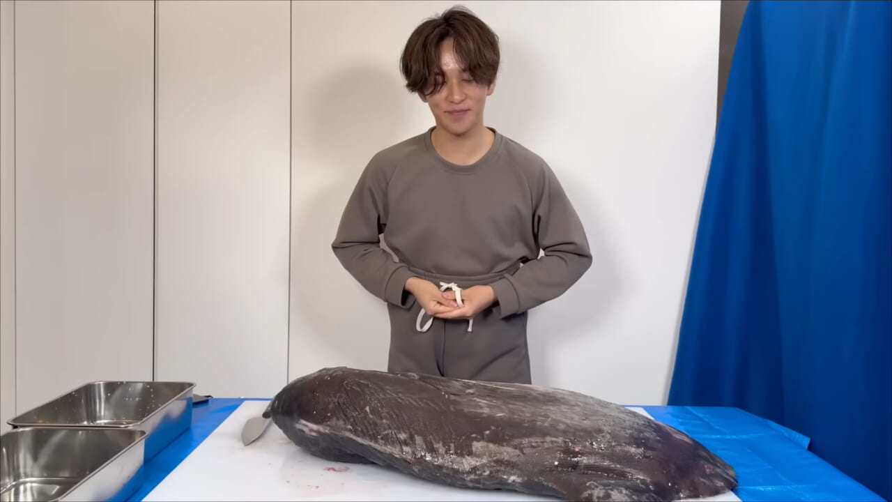 ｜「脳みそ小さすぎ」「これは脱帽だわ」マンボウをさばいた結果がとんでもなかった。