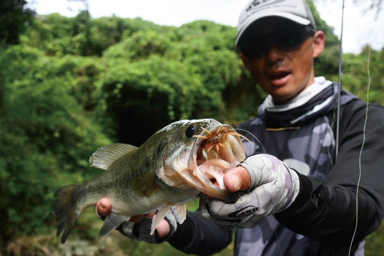夏の高滝湖をトップでハメる！オリキン流ボイル攻略とエリア選択の思考法（2ページ目）