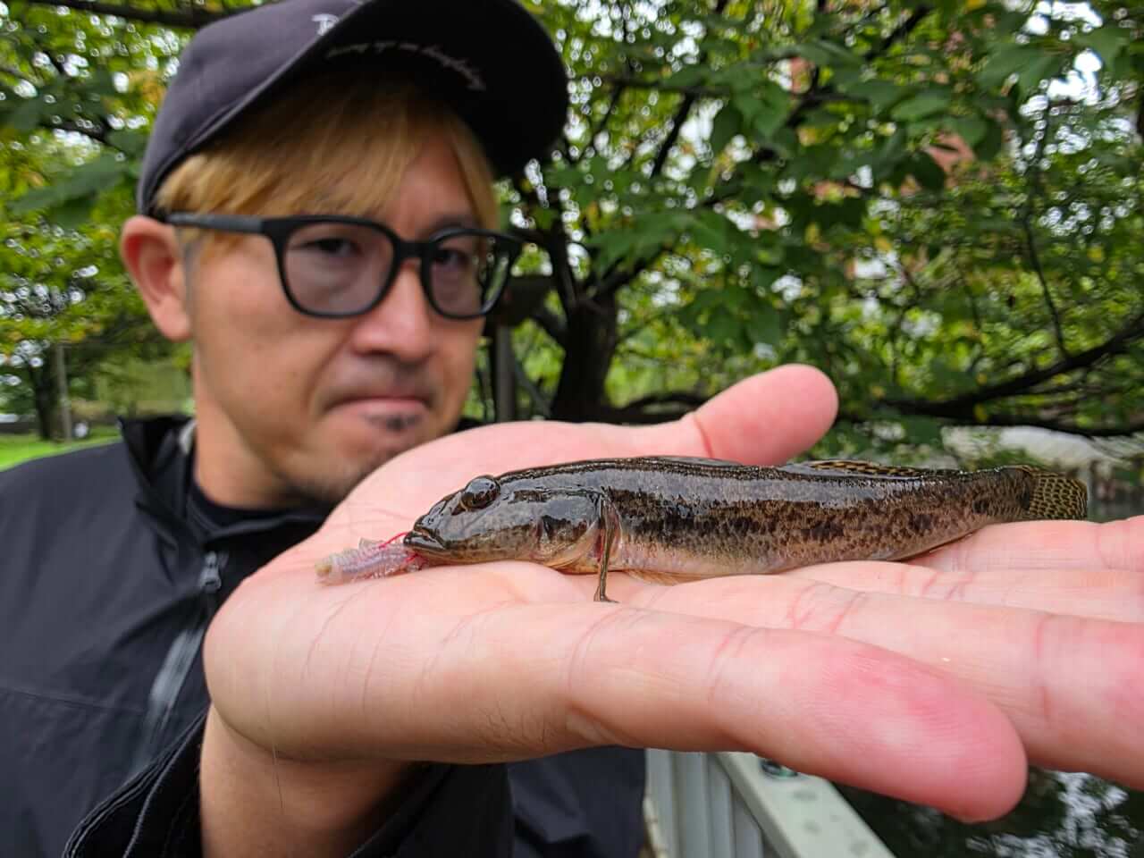 ｜【専用タックルはいらない！】安・近・短、これが江戸前の釣り。晩夏の都会でハゼを釣って食う！