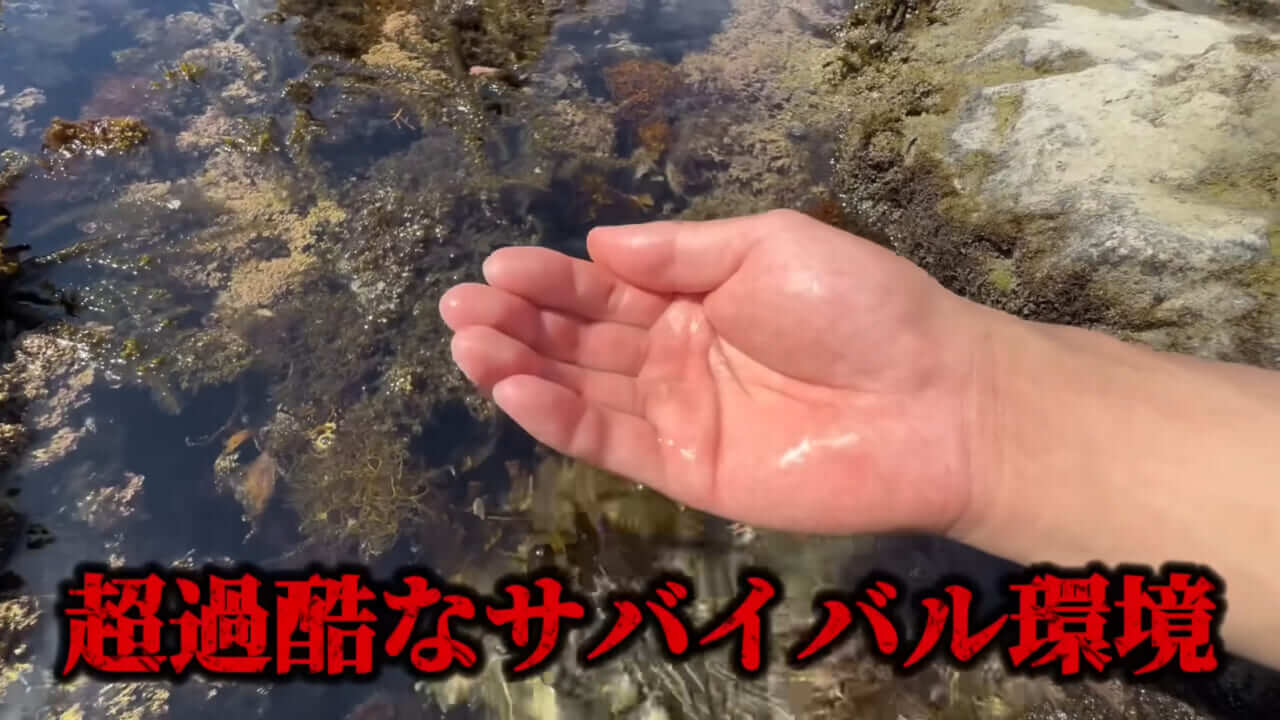 ｜「コレ、普通に捕まります」“磯の水”を全部抜いたら、出てきたものがヤバすぎた。「海保に通報です」